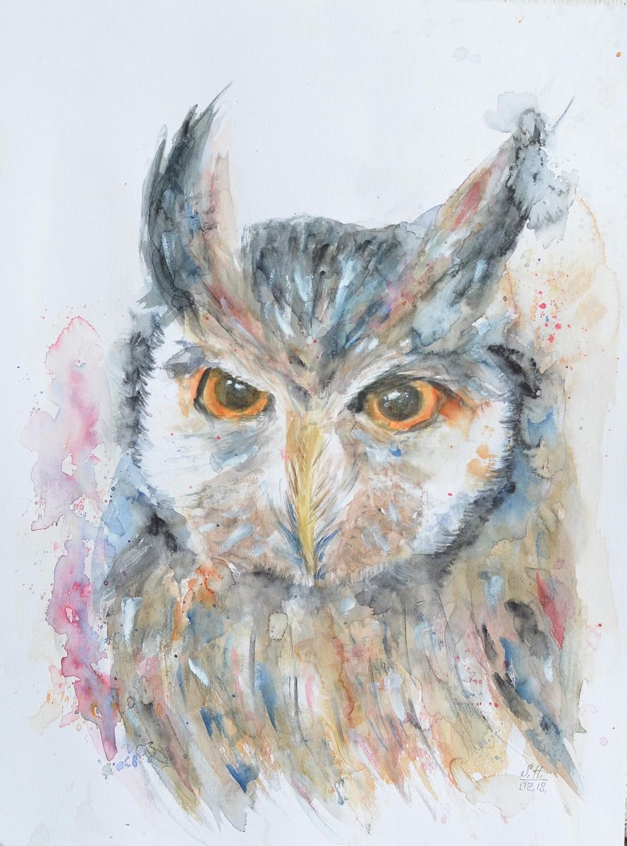 Owl in black by Sveta Hubmann