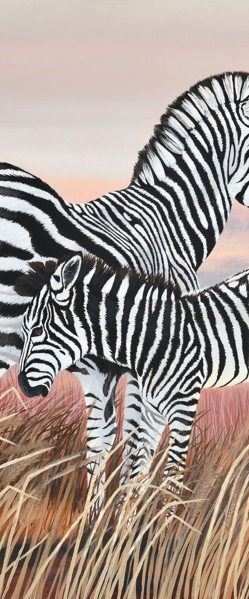 Zebra and Colt by Yvonne B Webb