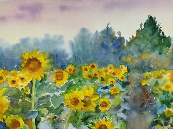 Landscape with sunflowers