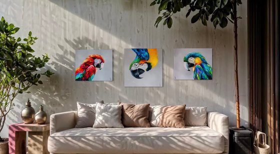 Macaw triptych