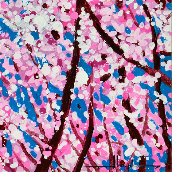 Cherry Blossom #4