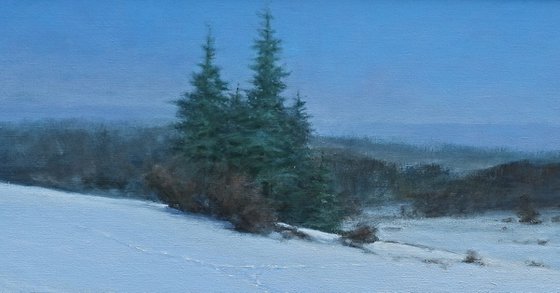 Snowlandscape