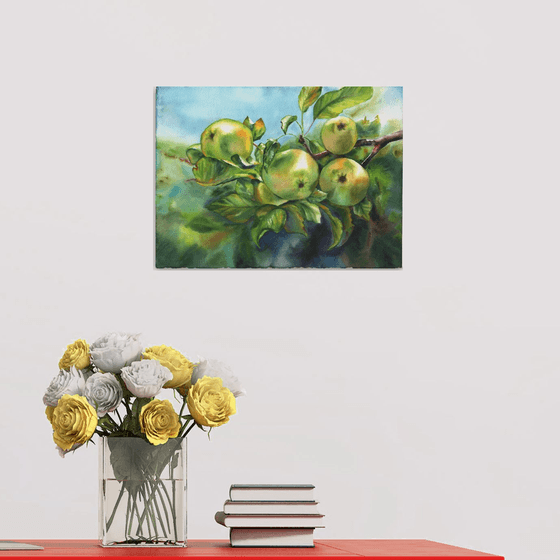 Green apples on the branch