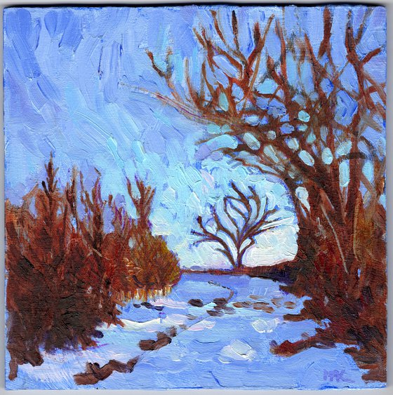 Light Snow - Winter Landscape