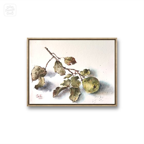 Branche de coing, 1