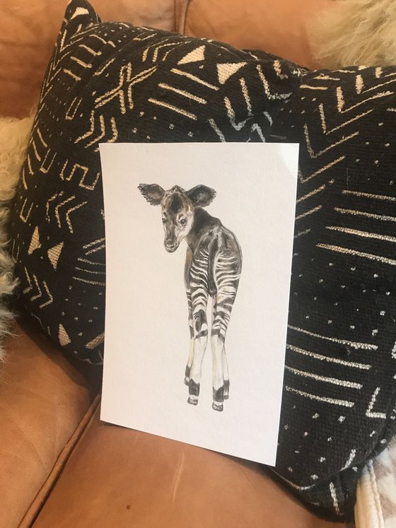 Baby Okapi Safari Animal Original Watercolor