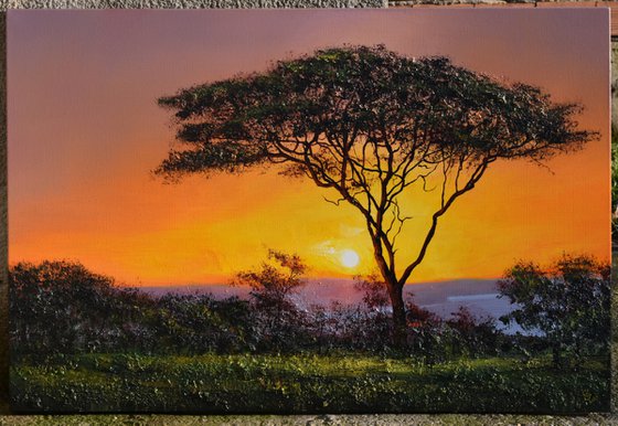 " Africa - Acacia tree " Special Price !!!