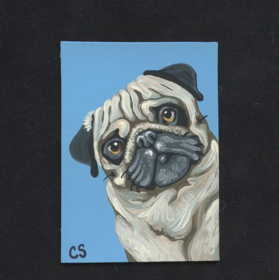 ACEO ATC Original Painting Fawn Pug Pet Dog Art-Carla Smale