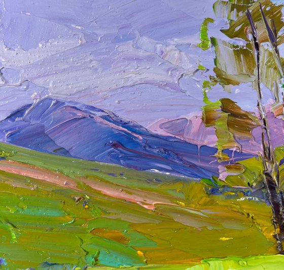 Mountain Flower Fields