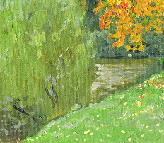 Autumn maple by the pond