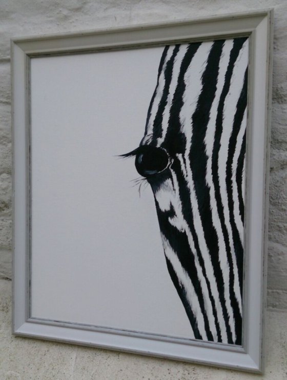 Zebra Eye 3