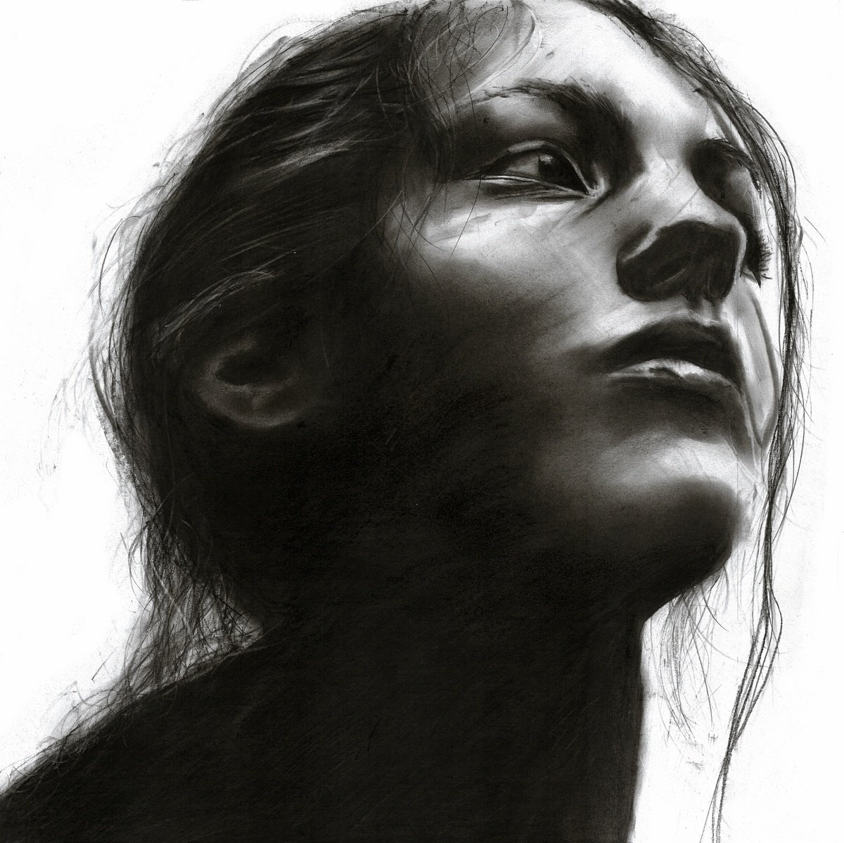 Illustrative Portrait Charcoal Drawing By Denny Stoekenbroek, 14 X 14, Looking For Satifaction, Original Artwork