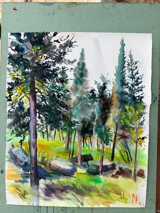 Morning in the Woods