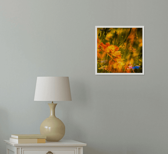 Summer Meadows #2. Limited Edition 1/25 12x12 inch Abstract Photographic Print.