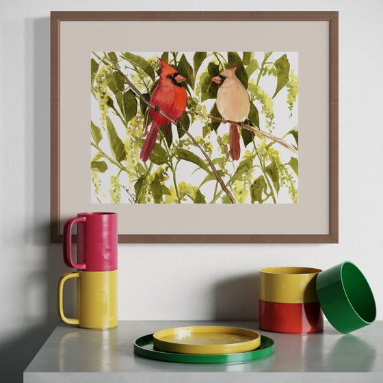 Cardinal Birds