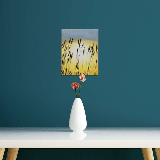 Seagrass on a Sunrise