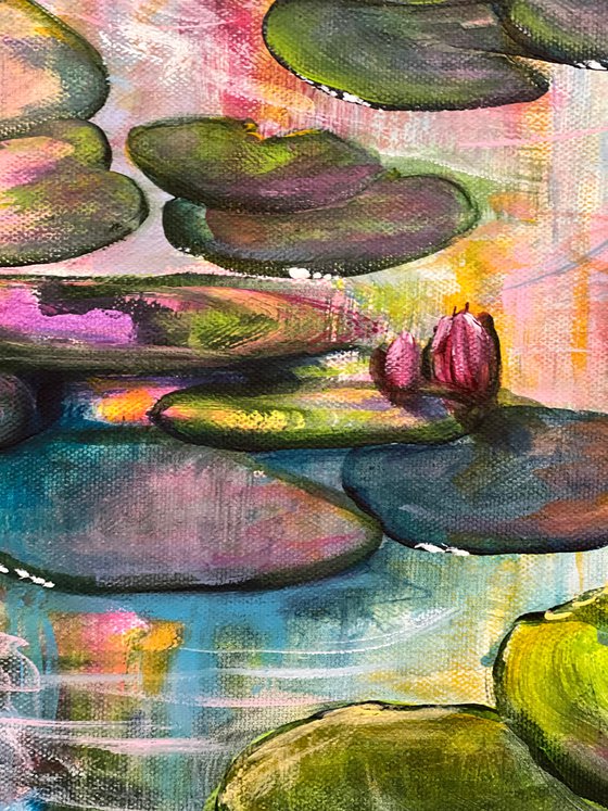 Water Lilies 5