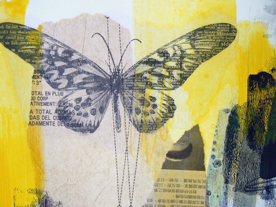 Butterflies #14