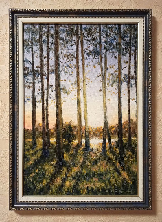 Pine trees on the shore