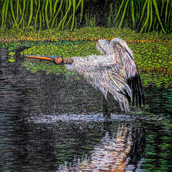 Wood Stork Shake