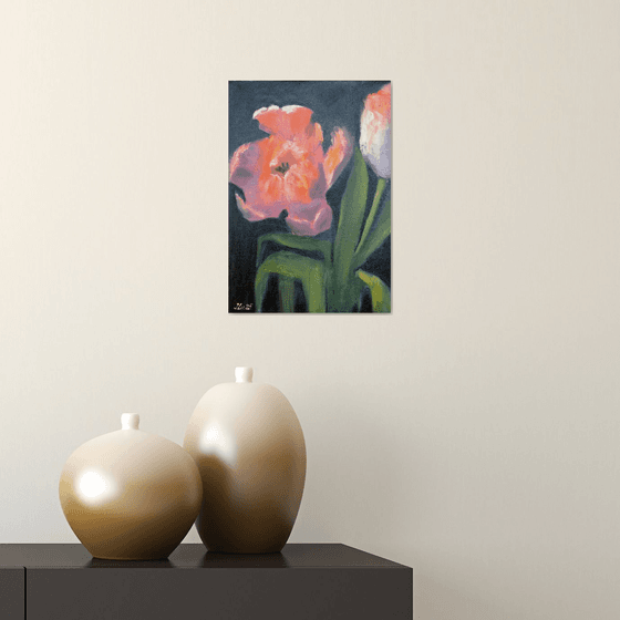 Coral tulips 3
