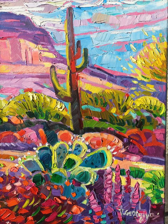 Magical day in Arizona