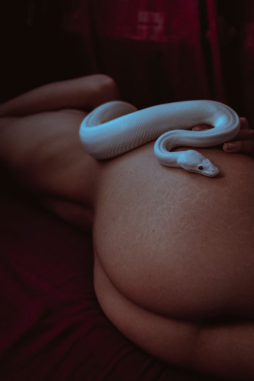 Moon Serpent by Benjamin Franke