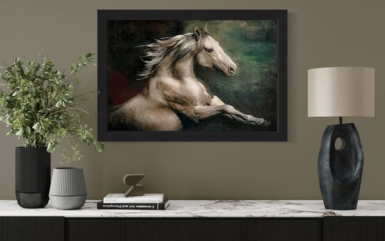 Wild Horse
