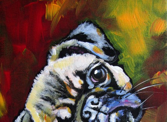 Cute pug