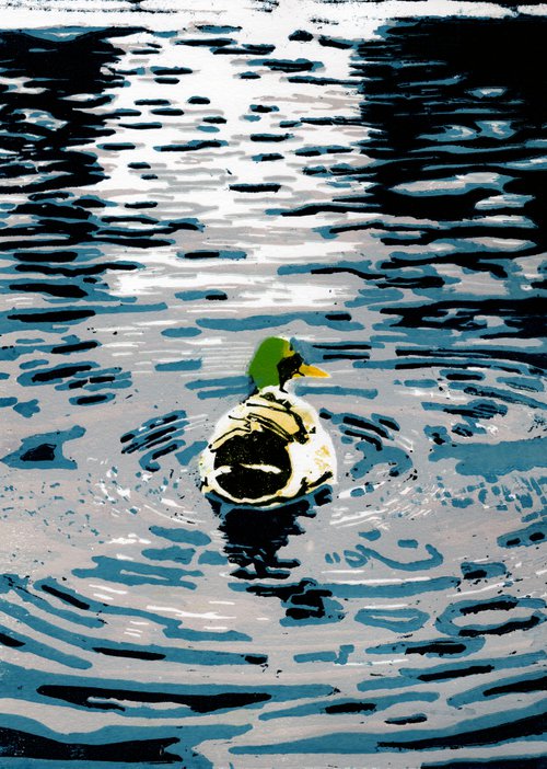 Duck On The Ripples by Greg Winrow
