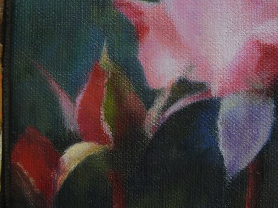 Roses and the Stream of Time