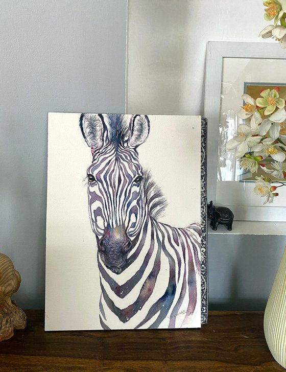 Zebra Johan