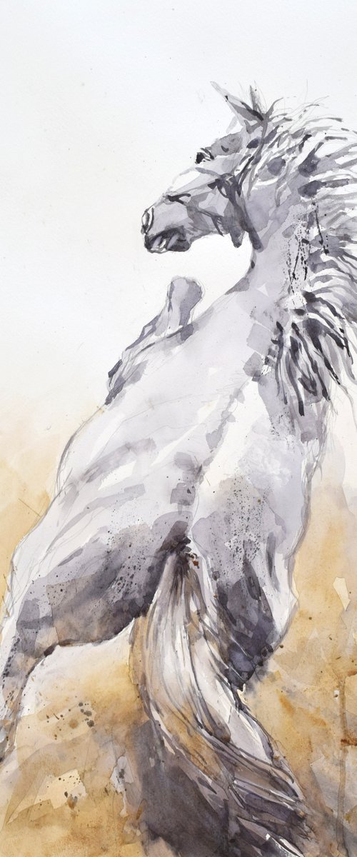 Prancing  horse (70x50). by Goran Žigolić Watercolors