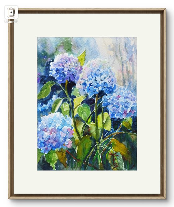 Hydrangeas flowers