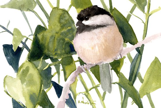 Chickadee in the forest