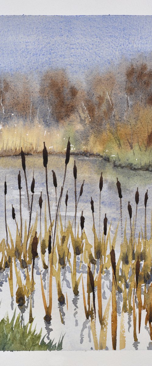 Winter Bullrushes by Lee Fidler