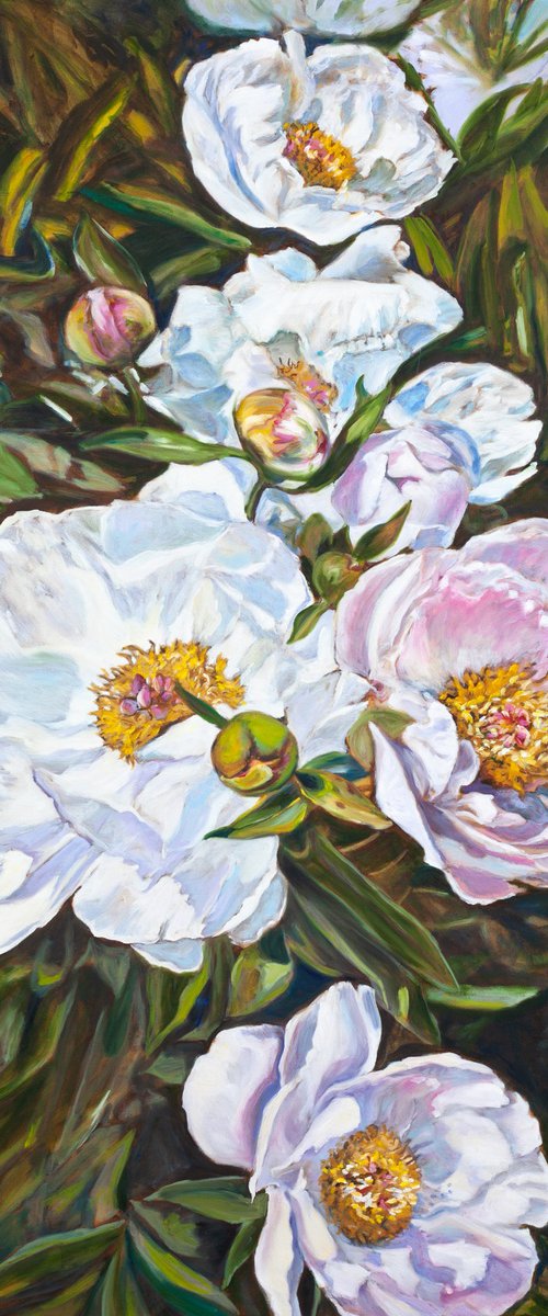 Peonies by Liudmila Pisliakova