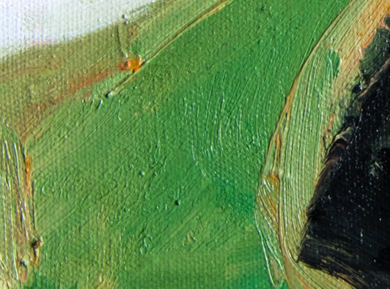 Catchment Green