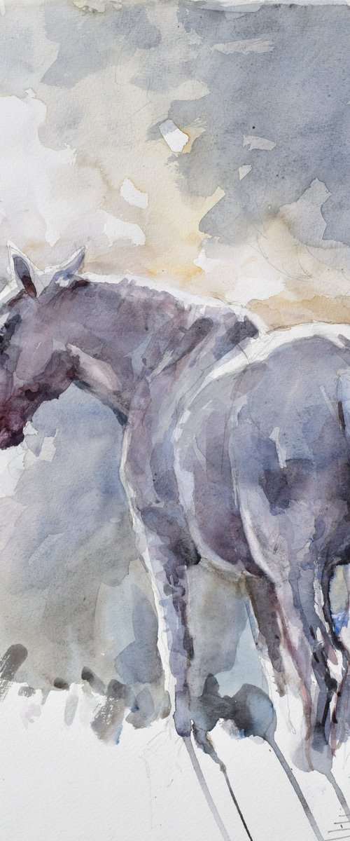 Horse steam in blue by Goran Žigolić Watercolors