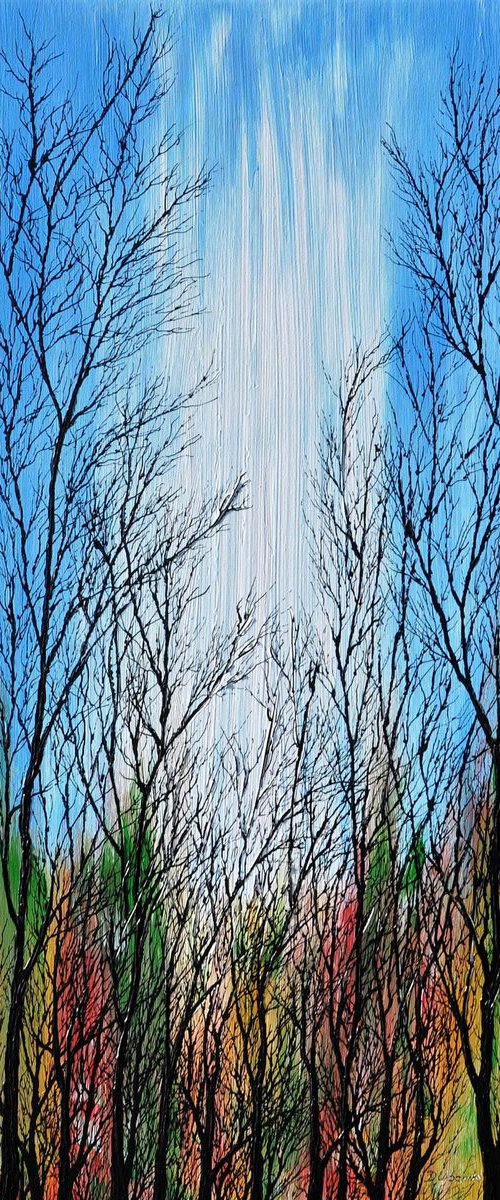 Landscape Full Of Trees by Daniel Urbaník