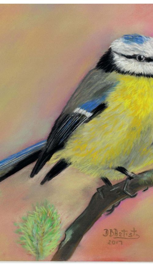 ,, Yellow bird'' pastel on paper by Deimante Bruzguliene
