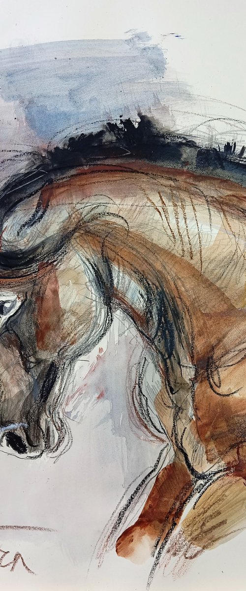 Caballo, 2-2025 (study) by Catalin Ilinca