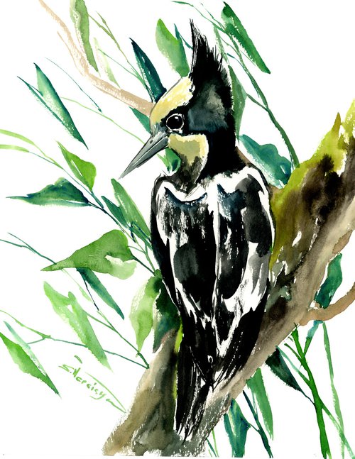Heart Spotted Woodpecker, Original watercolor painting by Suren Nersisyan