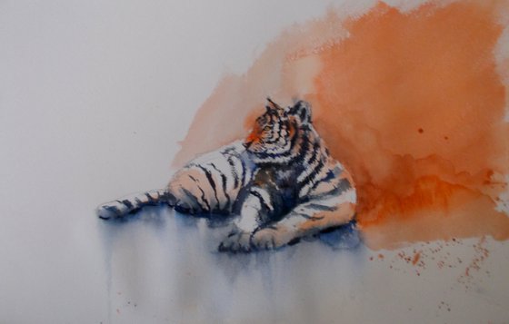 tiger