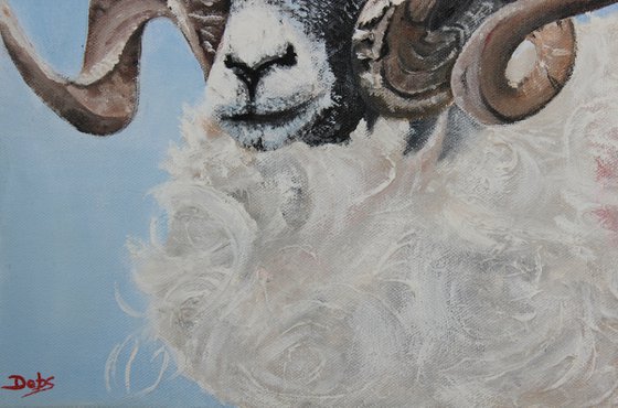 Swaledale beauty