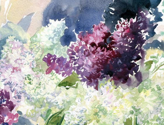 Lilac watercolor still life