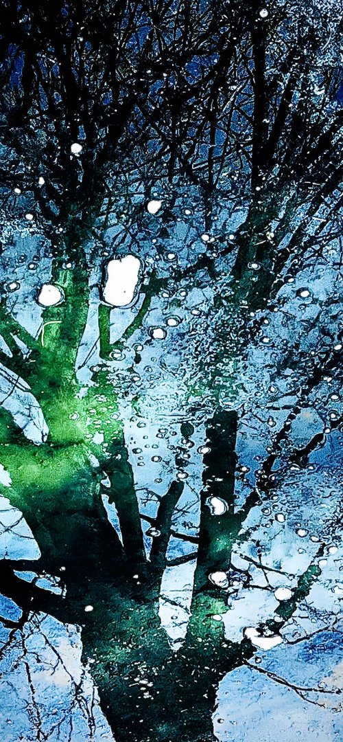Astral Roots by Julien Boissaud