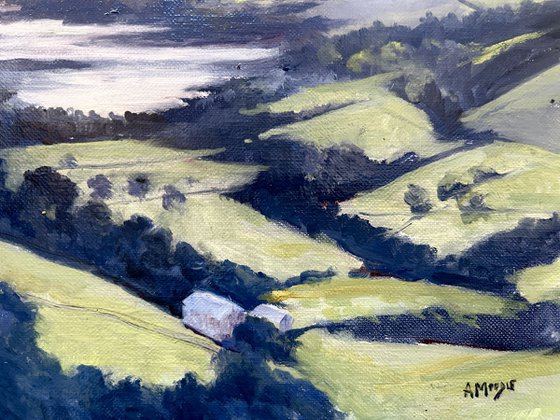 View Over Gouthwaite Reservoir