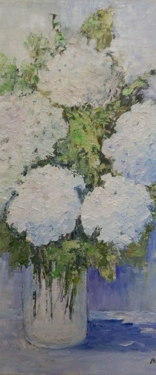 White hydrangeas by Maria Karalyos