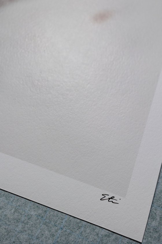 Where the Spring Born